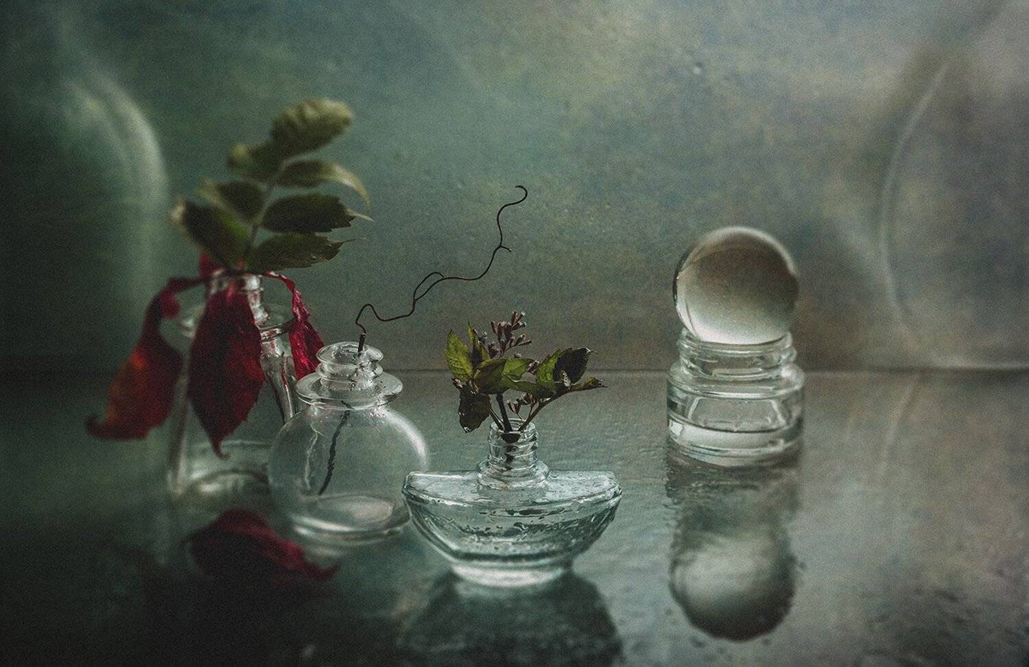 , MVO (Марк Орлов)