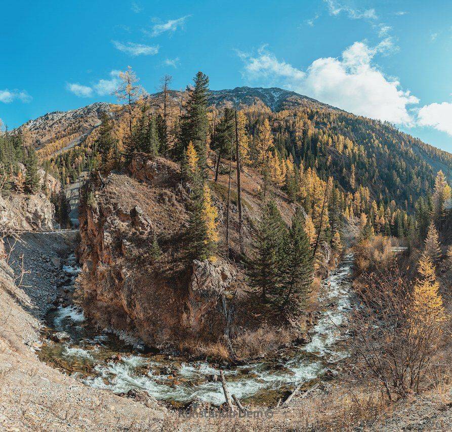 , Константин Дэм