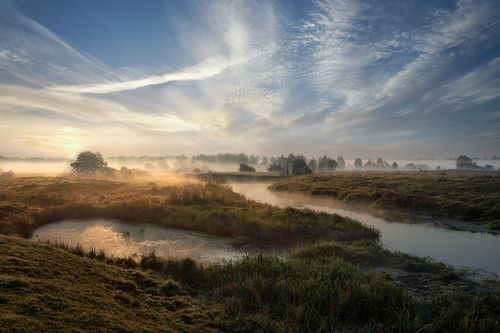 туманное утро