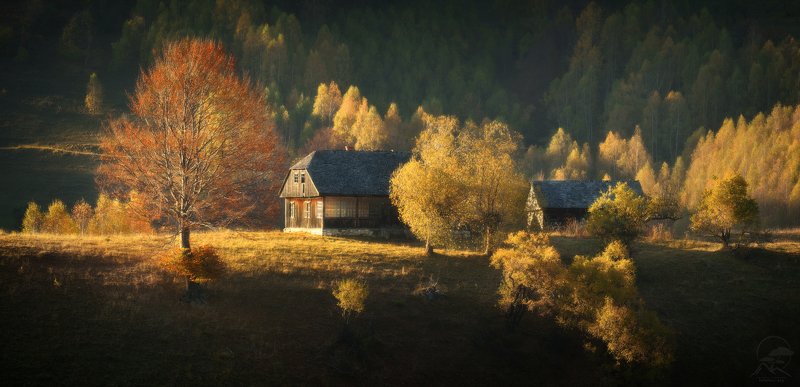 румыния, трансильвания, карпаты, горы, осень, хутор, пейзаж Как и сто лет назад фото превью