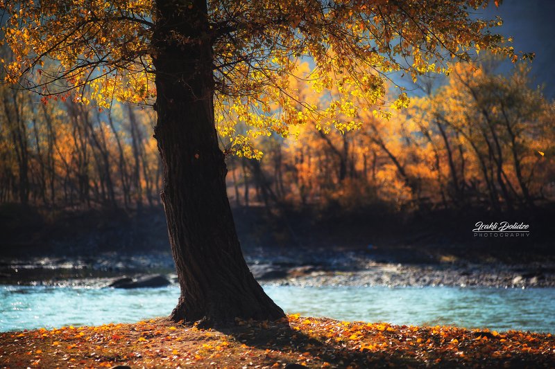 Последняя осенняя мгновения фото превью