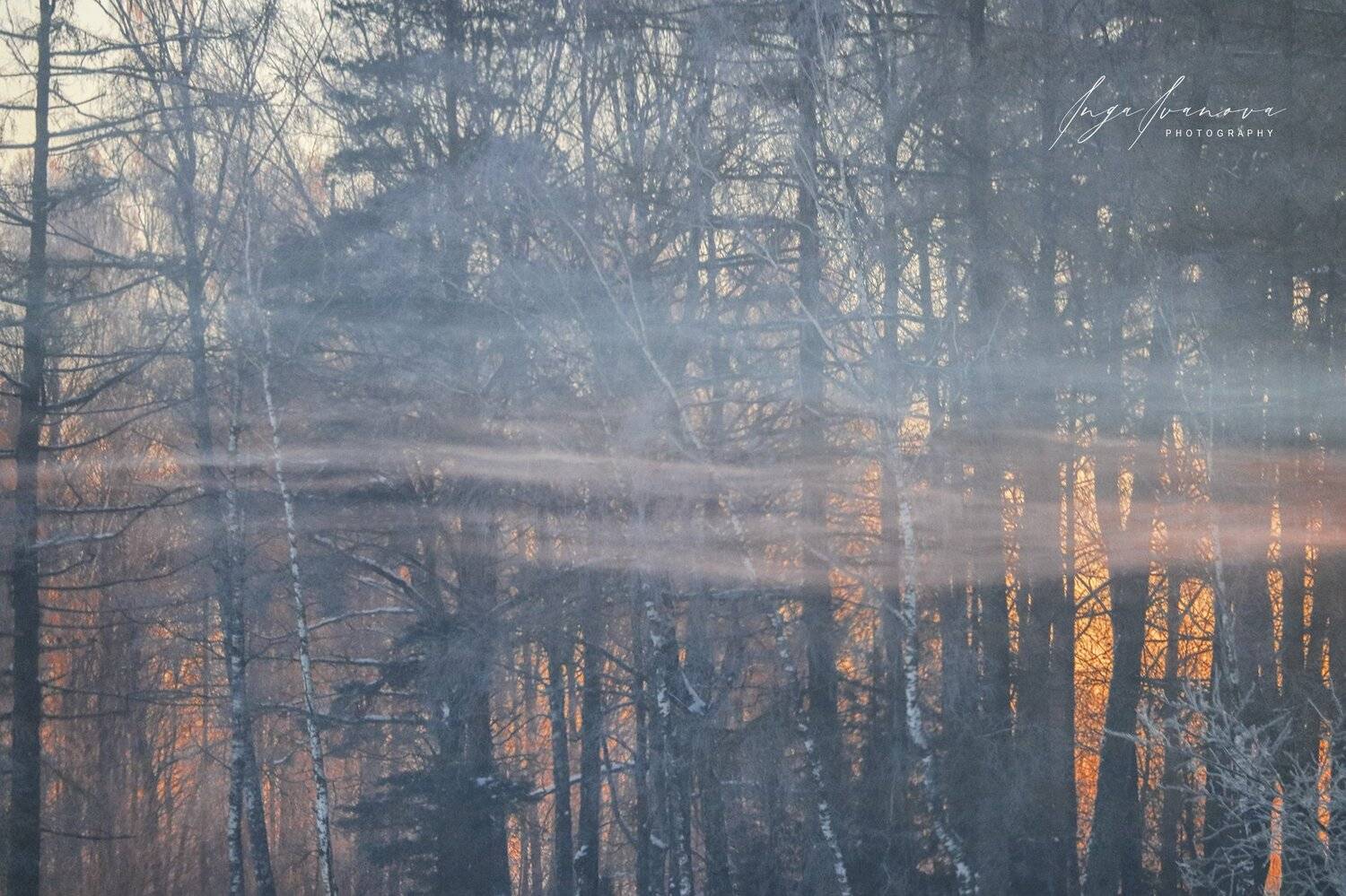 , Инга Иванова