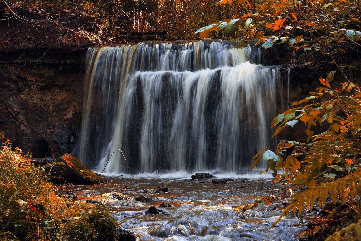 , Инга Иванова