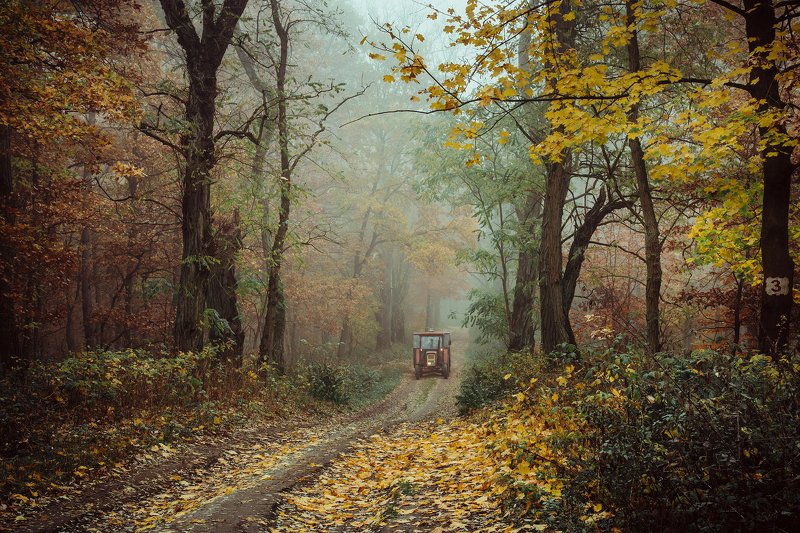 autumn forest fall road осенний трактор wood foggy mist magic jesien dranikowski path machine осенний трактор фото превью