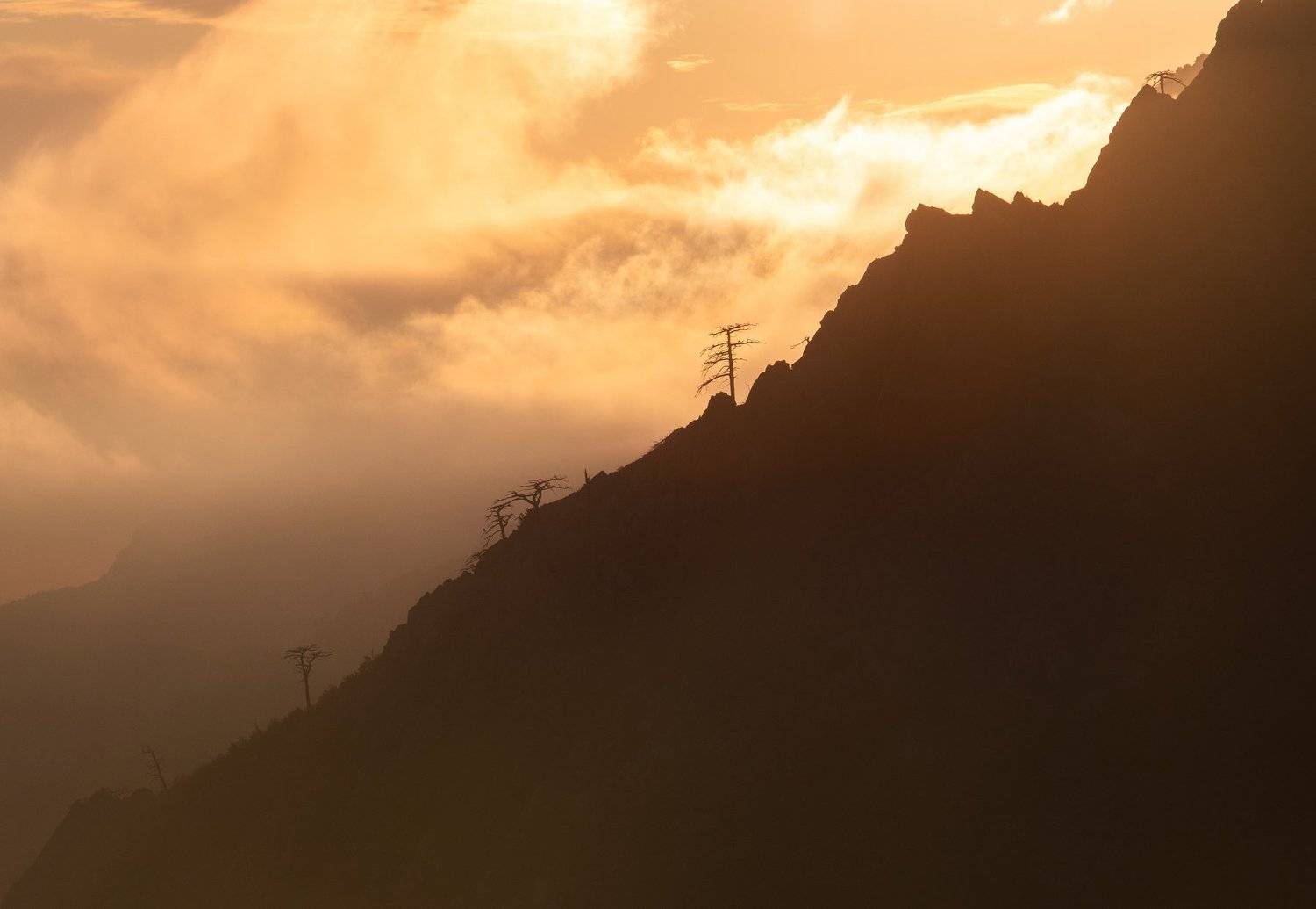 закат, горы, деревья, небо, облака, mountains, trees, sky, cloud, Артём Корнев