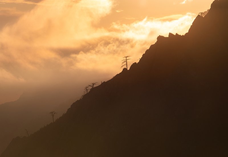 закат, горы, деревья, небо, облака, mountains, trees, sky, cloud Божественное сияние фото превью