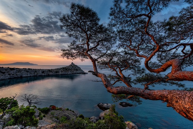 2019, крым, новый свет Ди-Лиманъ фото превью