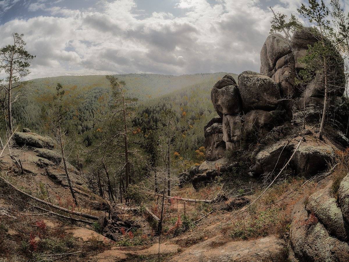 , Виктор Тришин