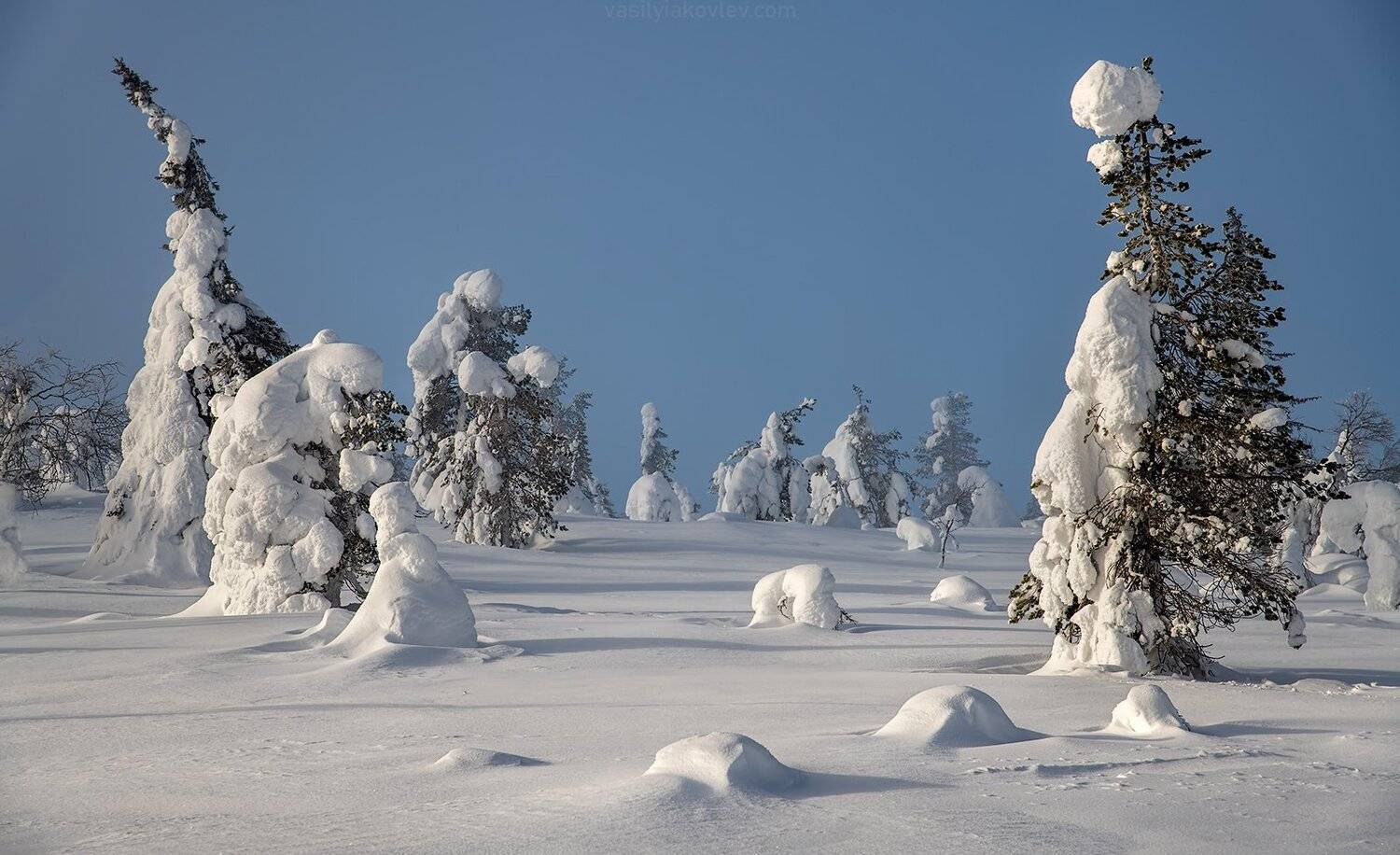 , Василий Яковлев