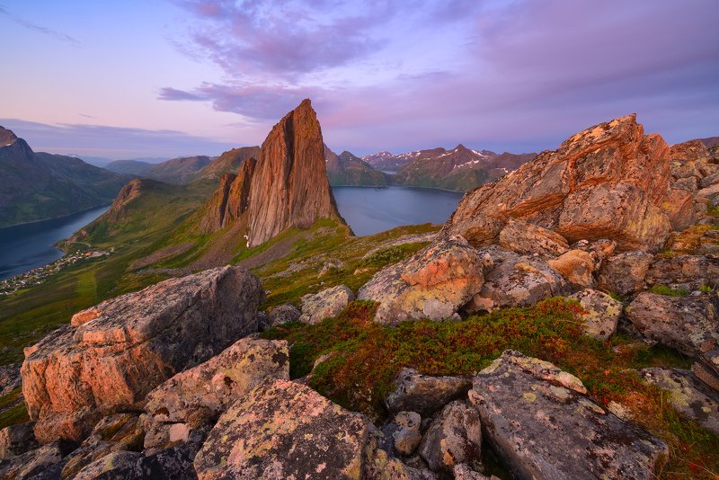 Розовые сны... фото превью