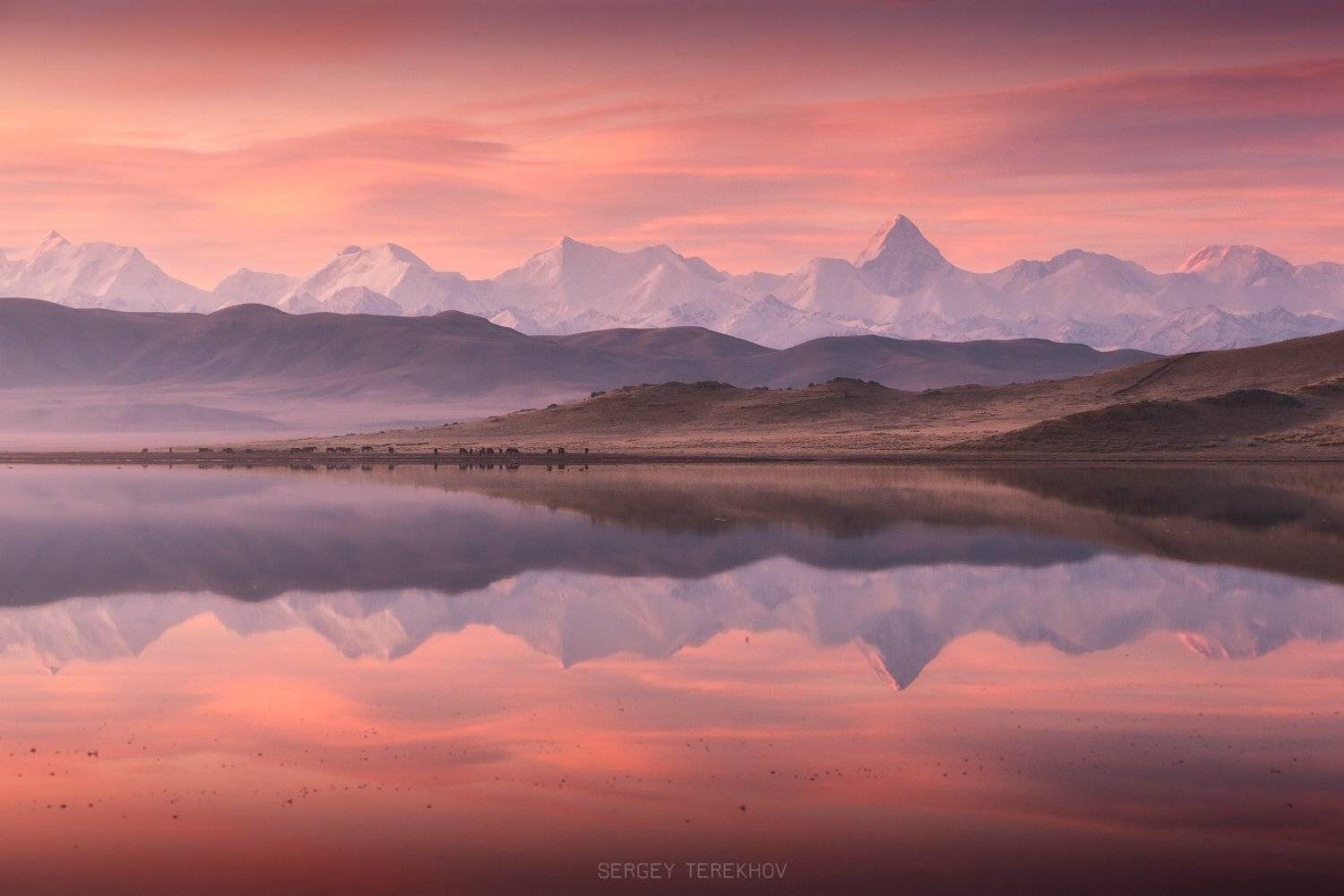 казахстан, тянь-шань,фото казахстана, пейзажи казахстана, тузколь, хан-тенгри, пик победа, отражение, фототуры казахстан,, Сергей Терехов