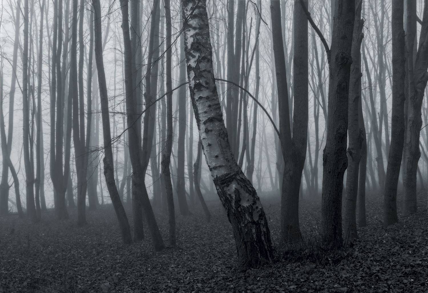 , Алиева Татьяна