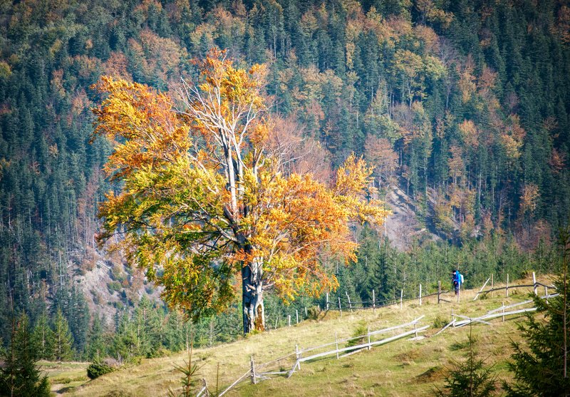 Двое. фото превью