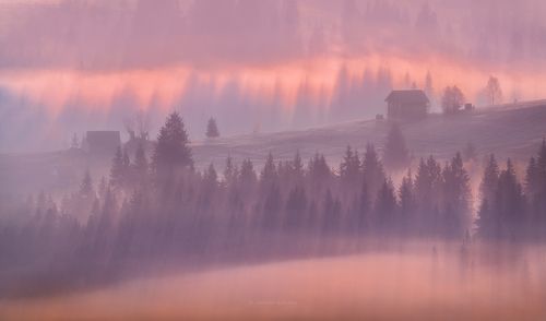 Утро в Карпатах...