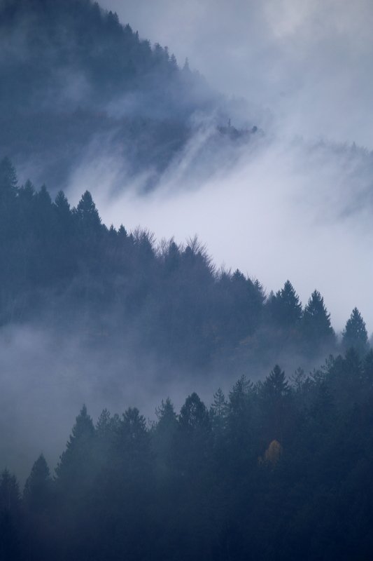 Fojnica fog фото превью