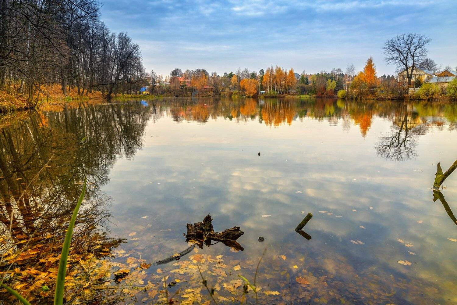 пейзаж, осень, озеро, пруд, желтый, листья, переделкино, landscape, autumn, lake, pond, yellow, leaves, peredelkino, Юрий Шурчков