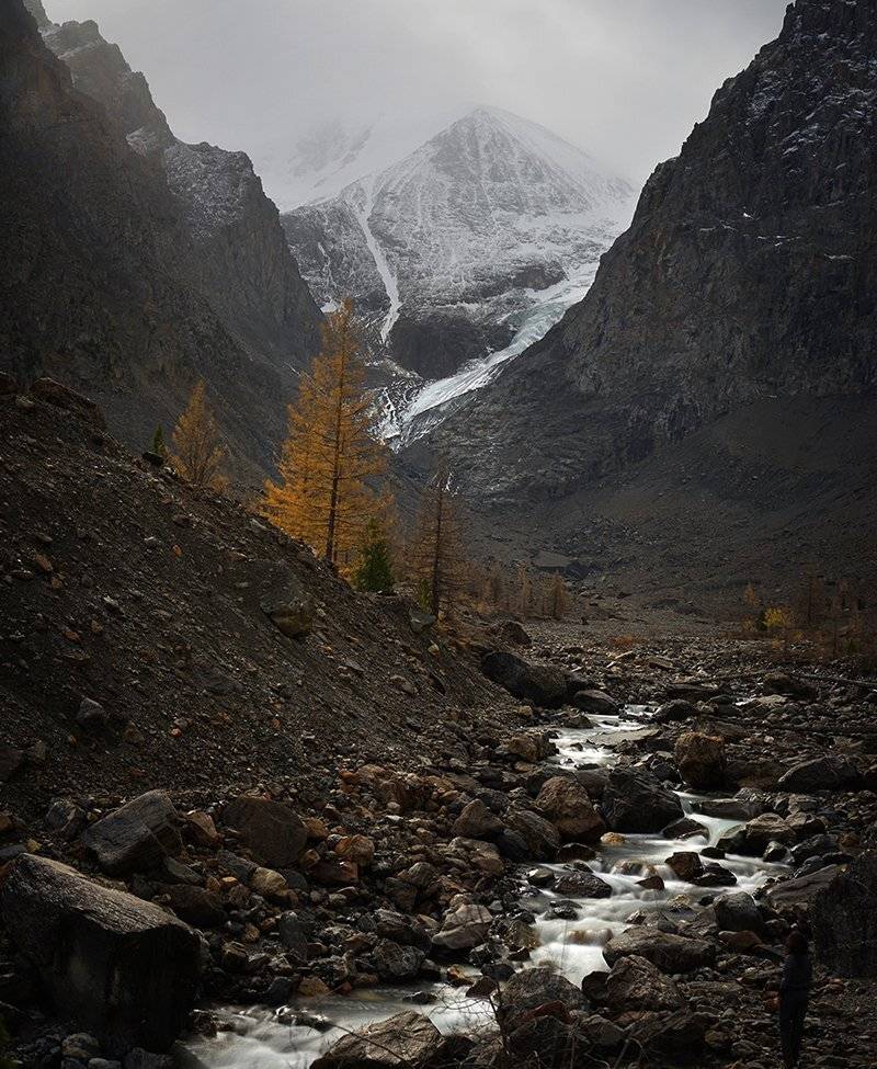 , Алексей Родак