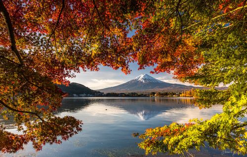 『 Autumn Morning 』