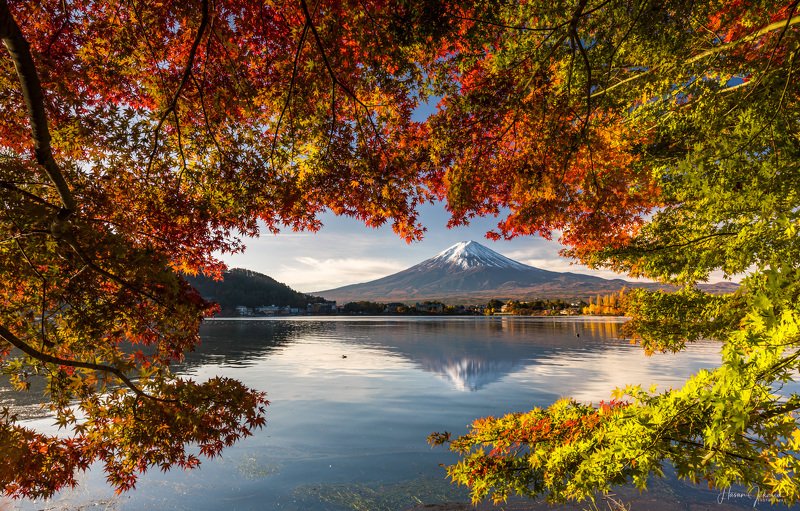 nature landscape japan mountain morning mount fuji  autumn colors 『 Autumn Morning 』 фото превью