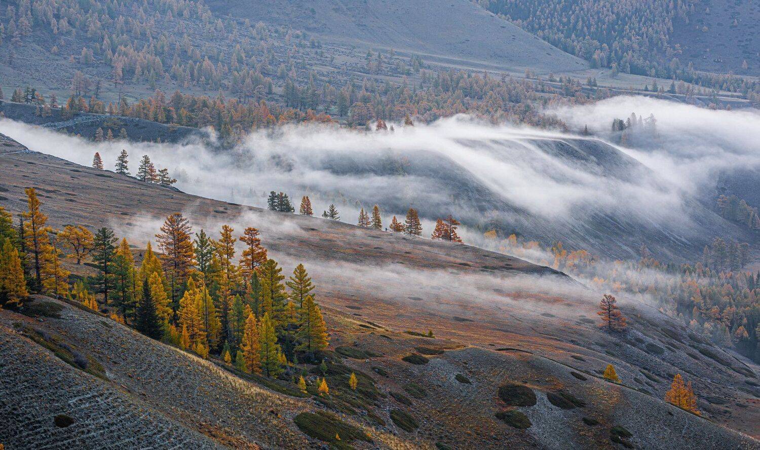 алтай. осень. горы., Евгений Дроботенко