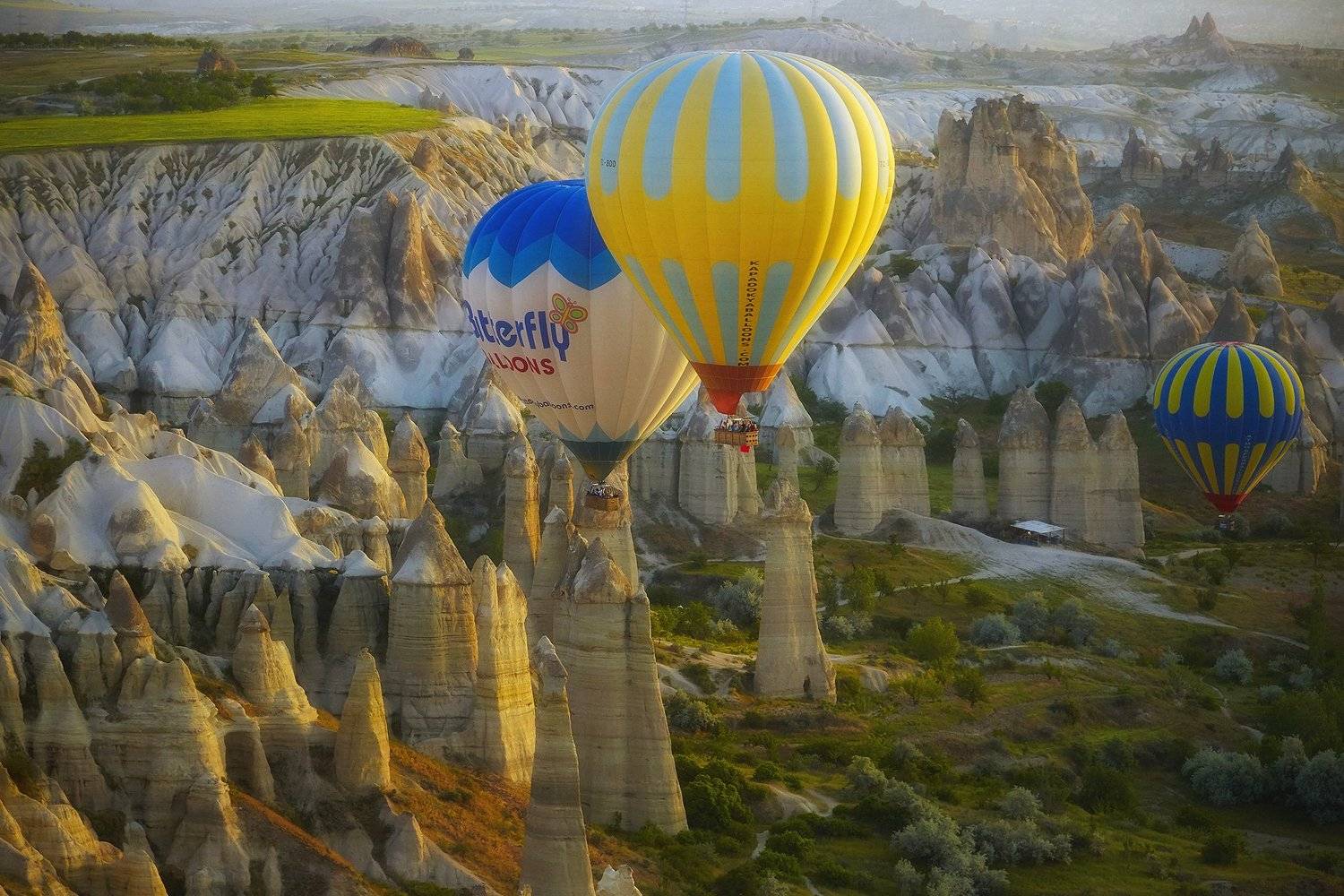 , Рашид Усманов