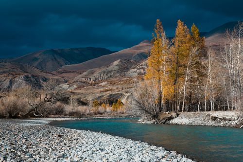 Холодный день