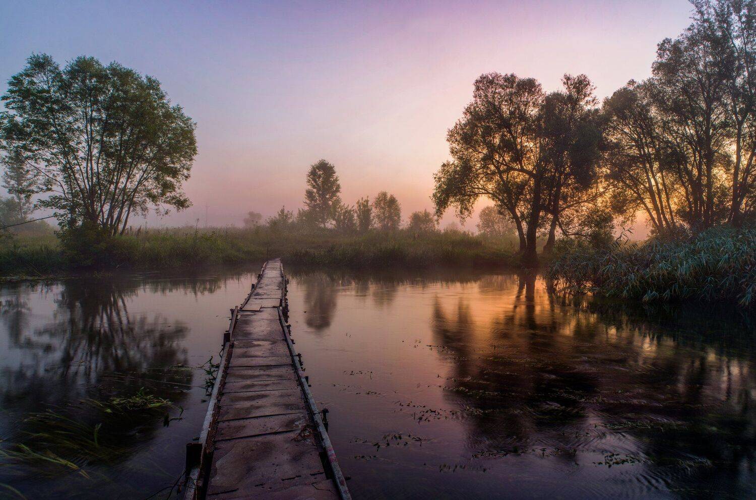 туман,рассвет,река нежеголь,мостик, Александр Литвишко