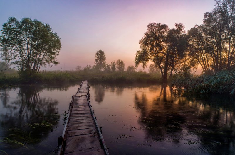 Летнее утро. фото превью