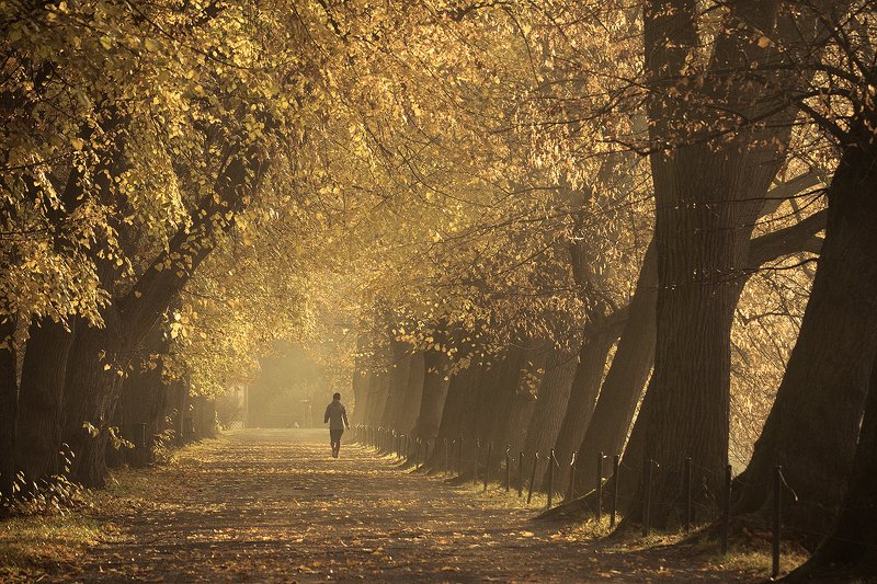 Autumn фото превью