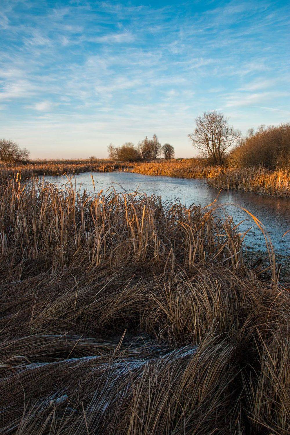 , Александр