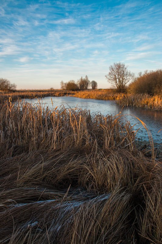 Мороз фото превью