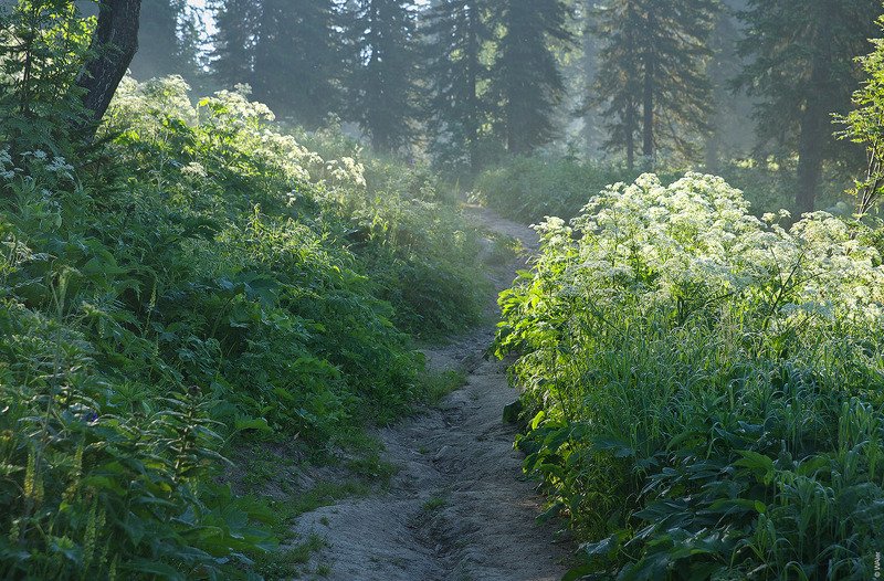 Про утро раннее фото превью