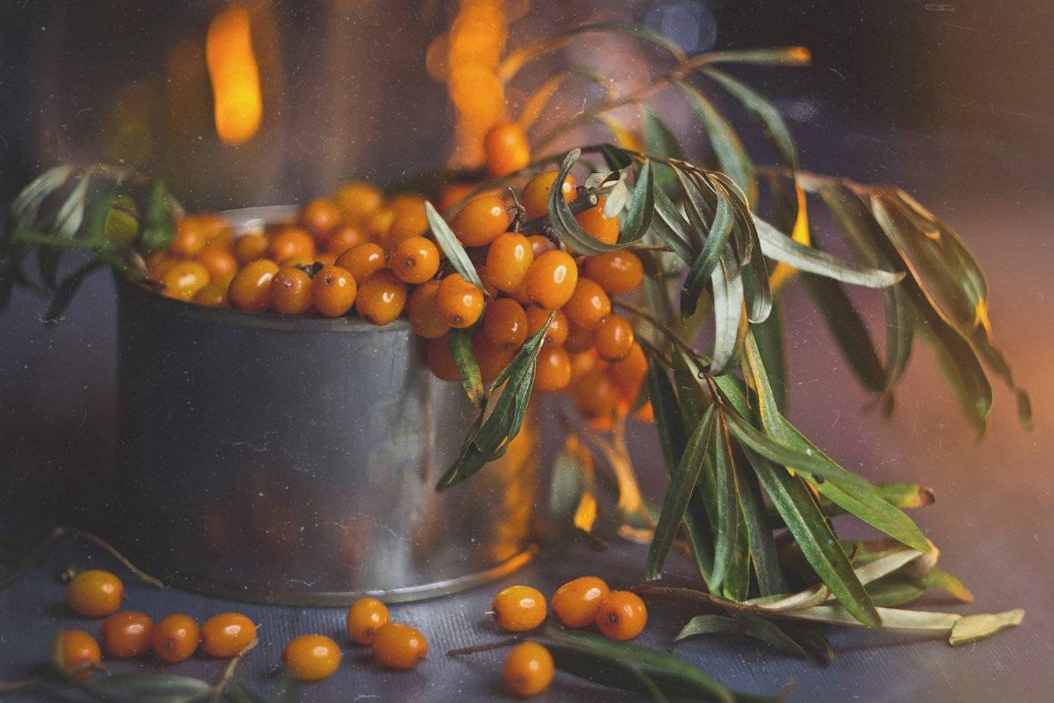 натюрморт, облепиха, осень, ягода, оранжевый, боке, теплый, вкусный, банка, серый, still life, Алла Семенова