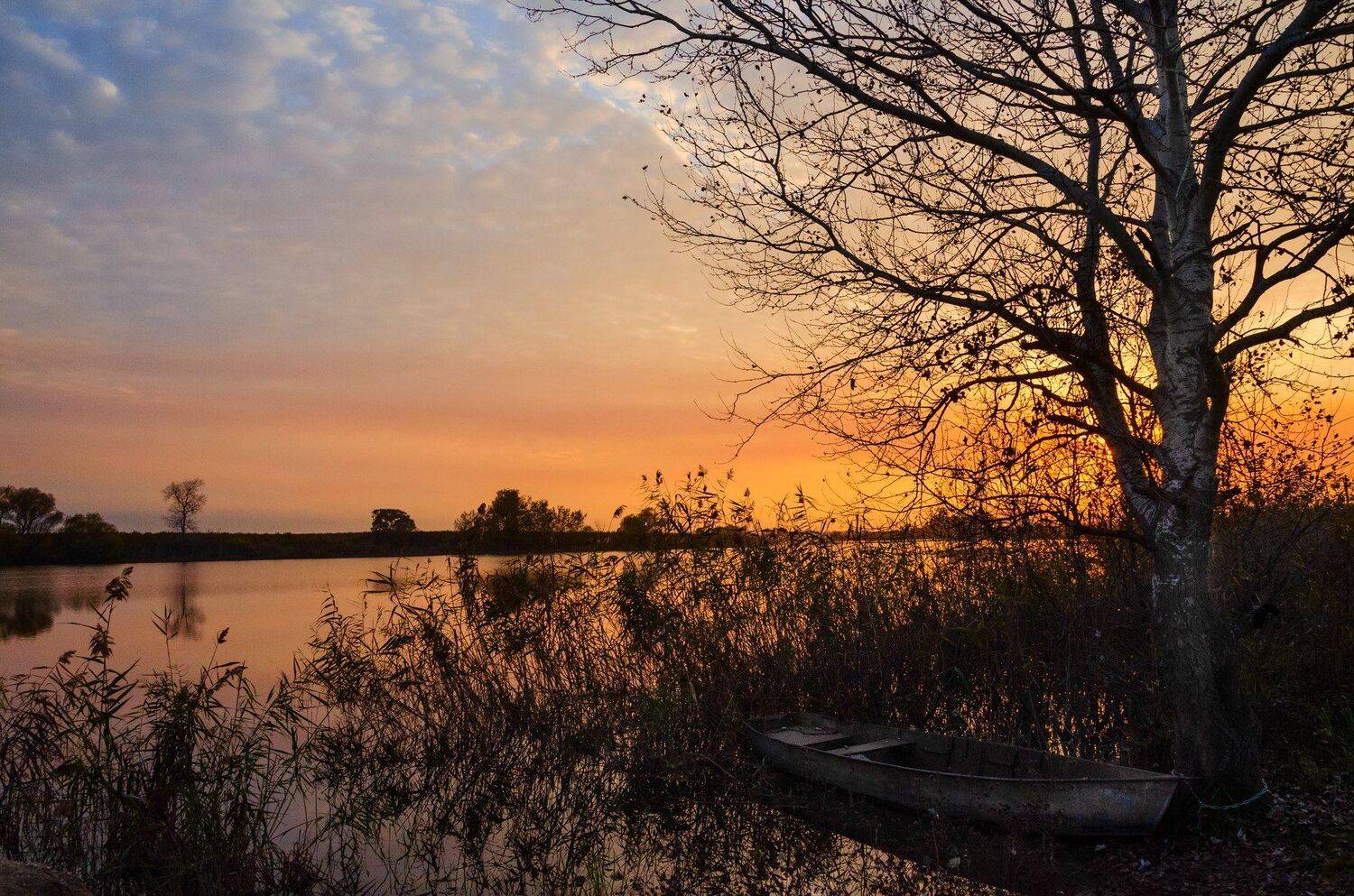 , Алексей Рыльский