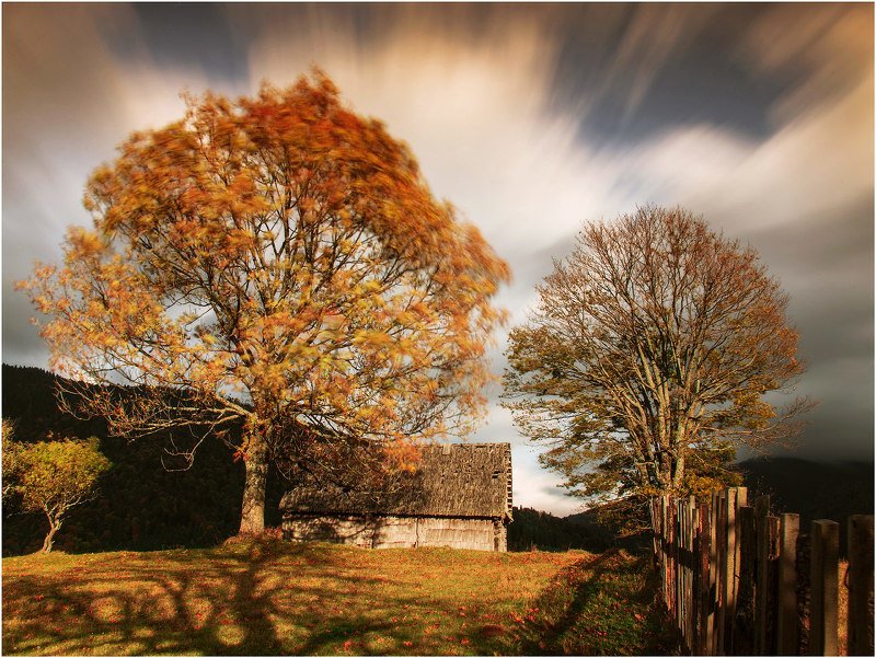 карпаты  осень  фото превью