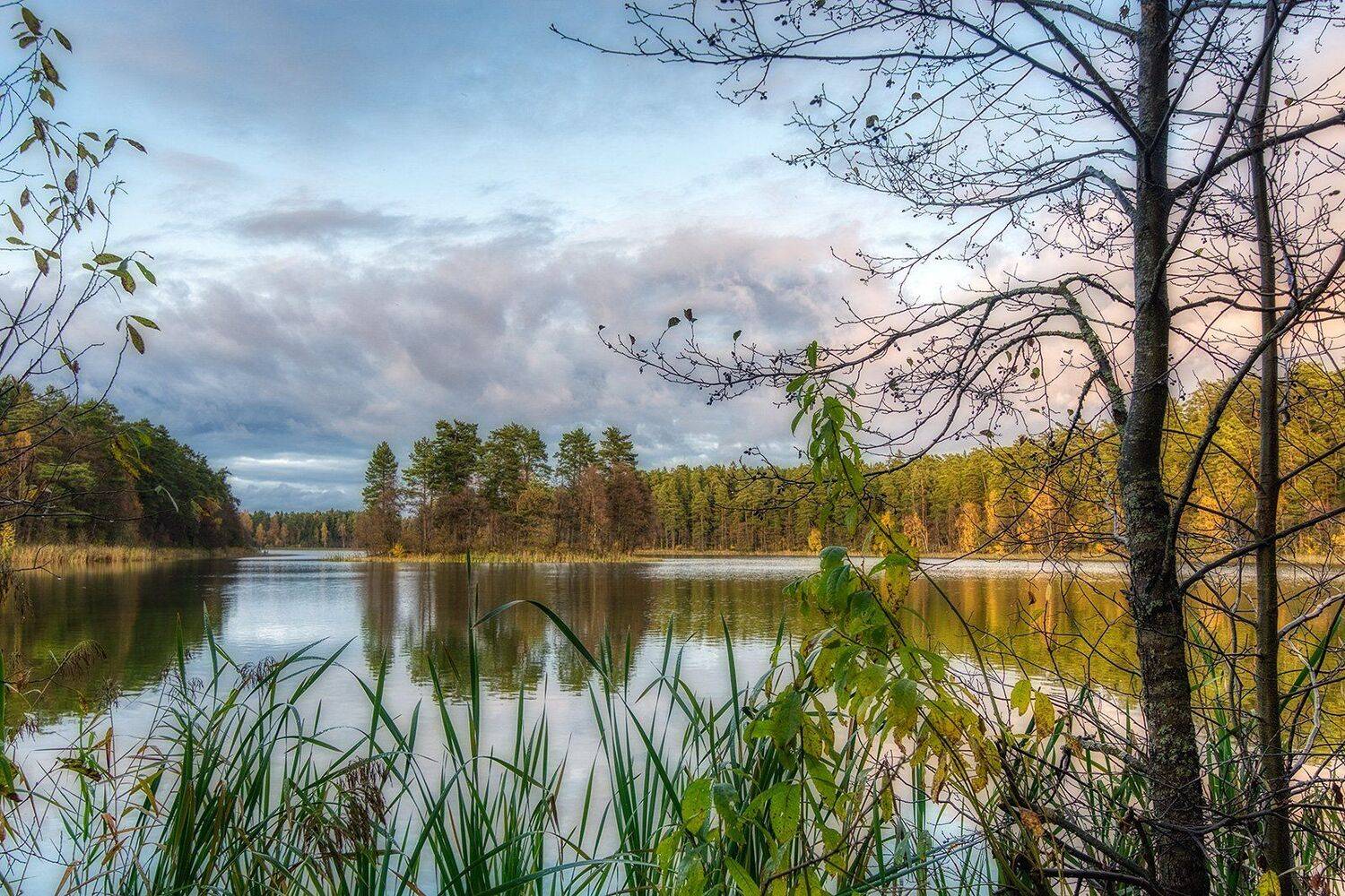 , Федотов Антон