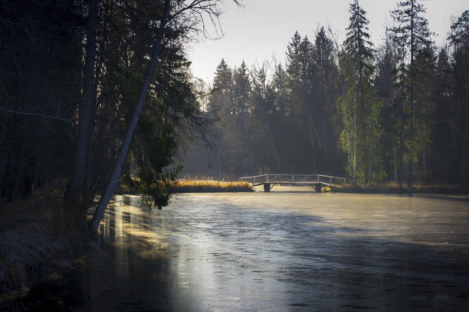 московская область, пейзаж, осень, утро, заморозки, Александр Кыров
