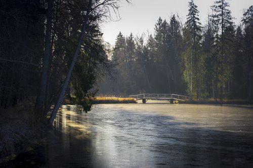 Первые заморозки