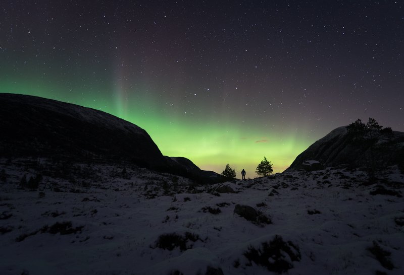 night,norway,aurora Alien фото превью