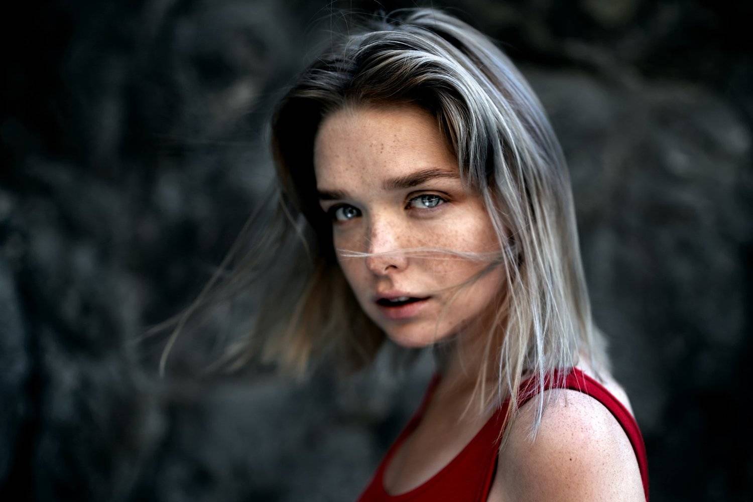 , Николай Новиков