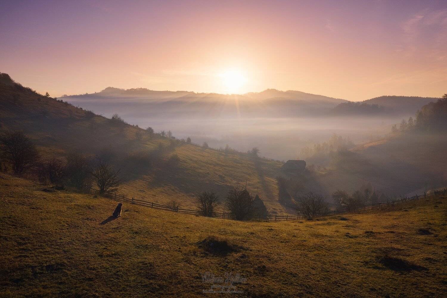 , Владимир Кириллов