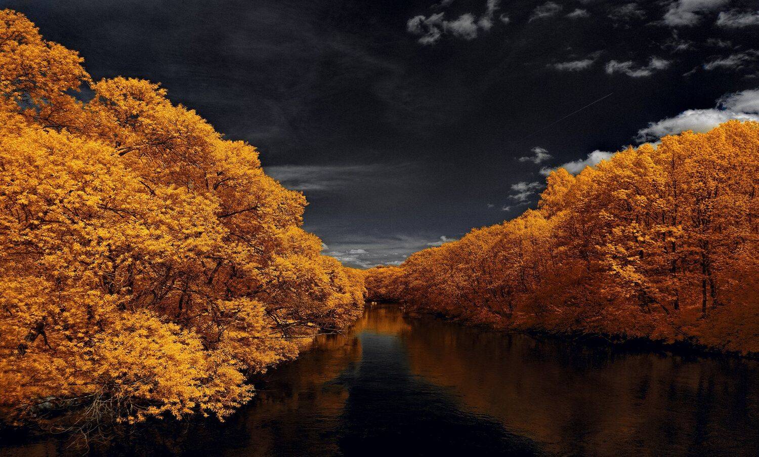 infrared,ик-фото,инфракрасное фото, инфракрасная фотография, пейзаж, осень, Sixten ( Сергей )