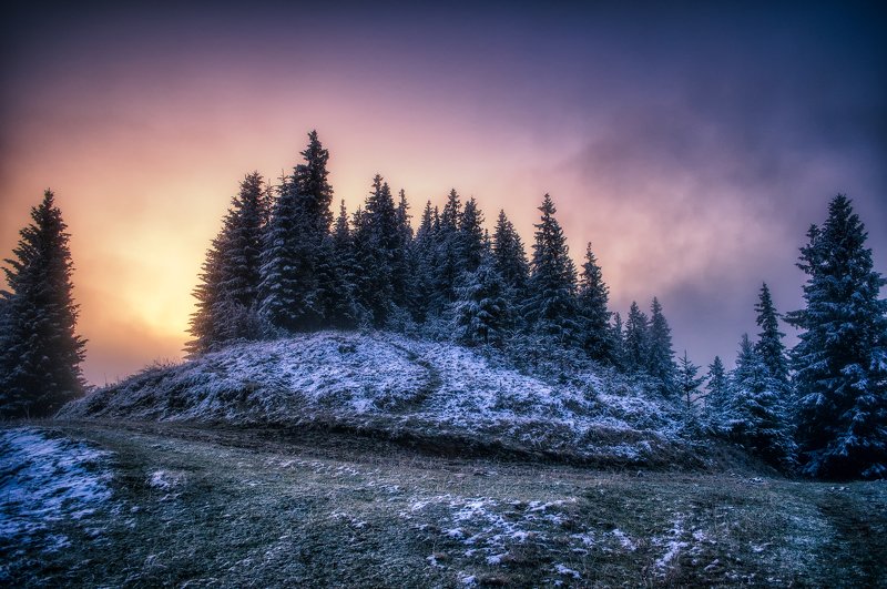 Пробуждение. фото превью