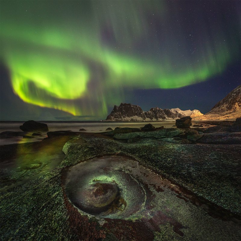 lofoten, лофотен, lofoten islands Arctic Avocado. фото превью