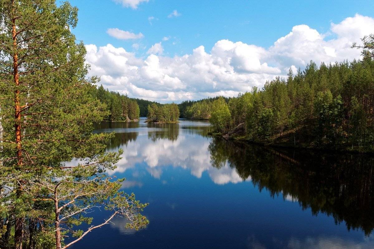 , Razgulyaev Aleksandr