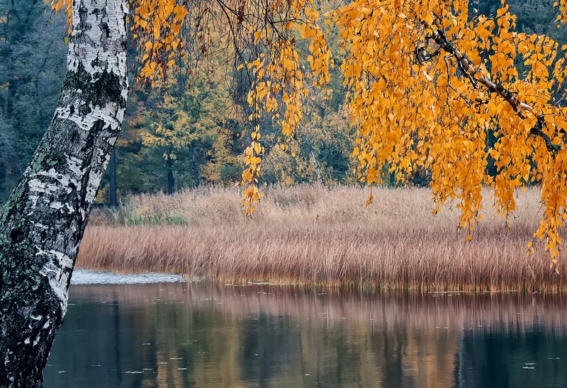 Осень. фото превью