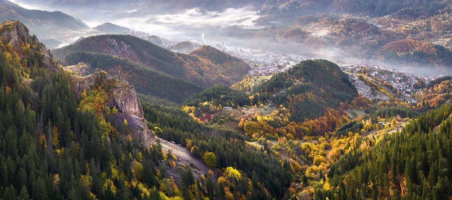 , Albena Andonova-Asa