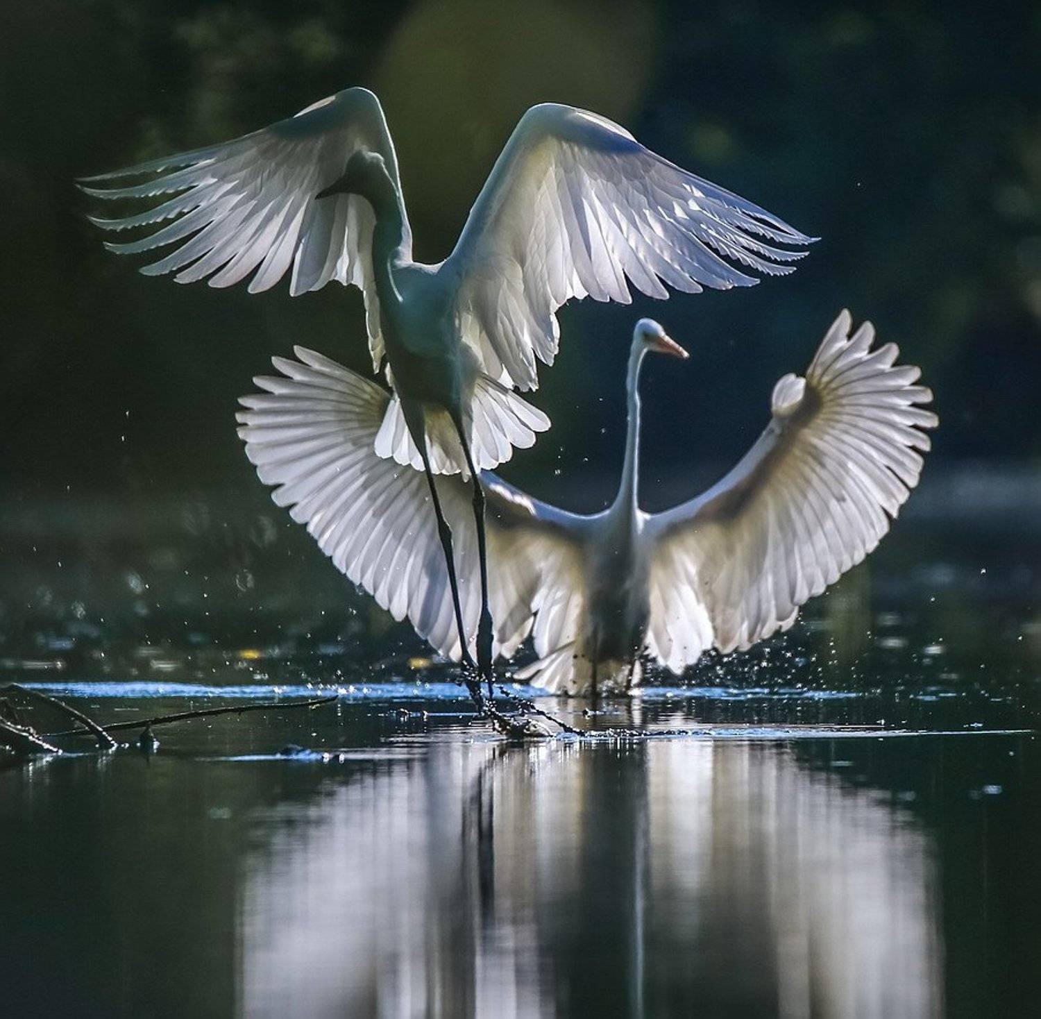 , Вячеслав Мищенко