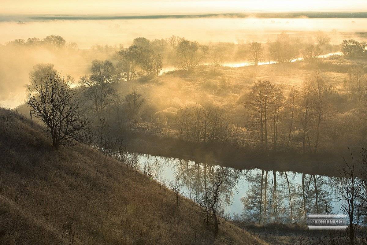 , Андрей Cоколов