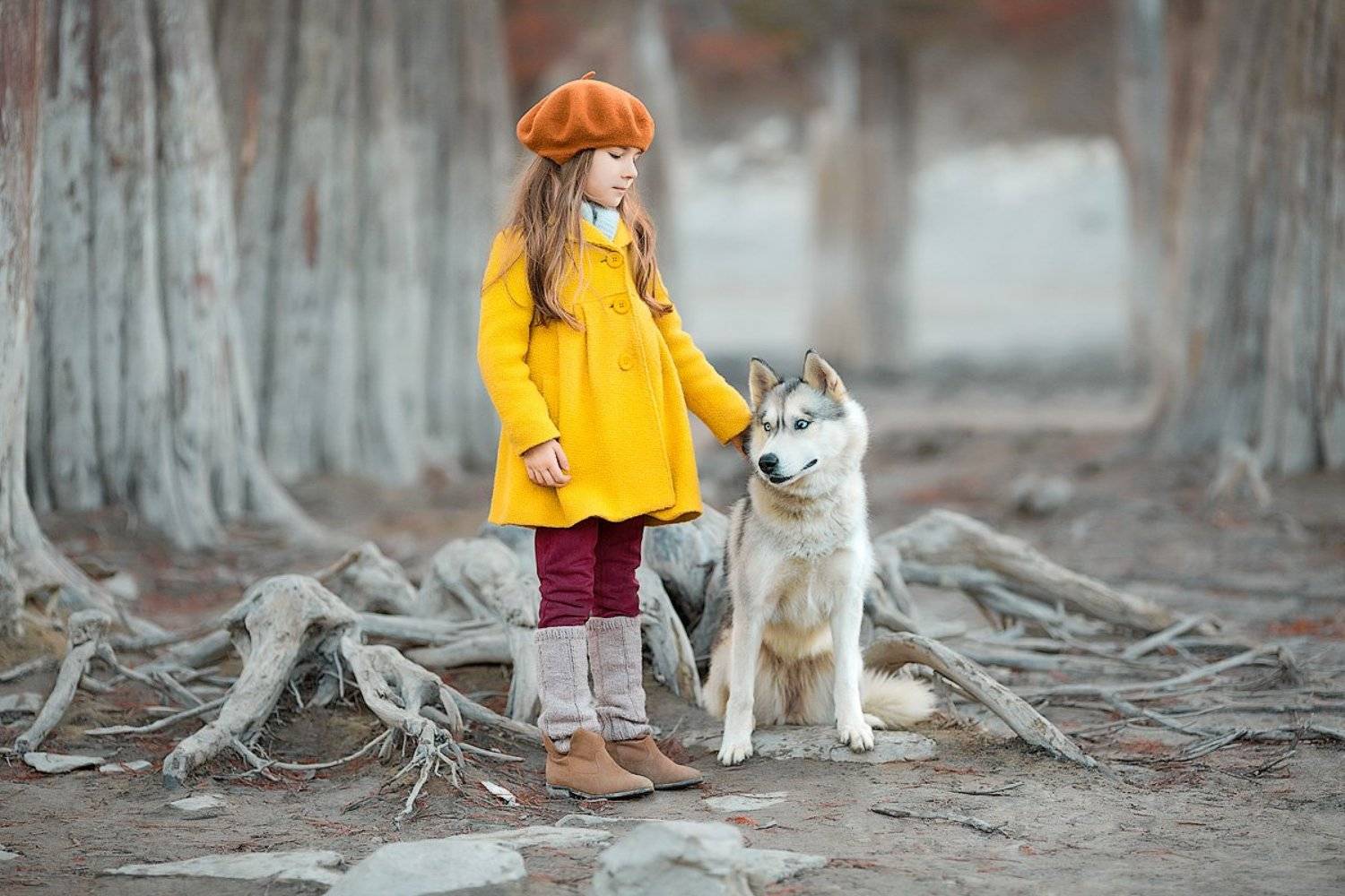 фотограф, зеркальный фотоаппарат canon mark iii, фотопрогулка, девочка, собака, осень, красота, дружба, детский фотограф, счастье, радость, дети на фото, детская фотография, любовь, восторг, Францева Ольга